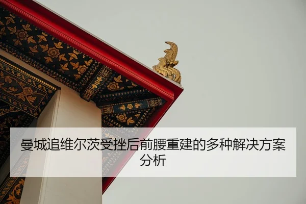 man-cheng-zhui-wei-er-ci-shou-cuo-hou-qian-yao-chong-jian-de-duo-zhong-jie-jue-fang-an-fen-xi-2-500.jpg
